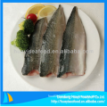 fresh frozen mackerel fish fillet for sale